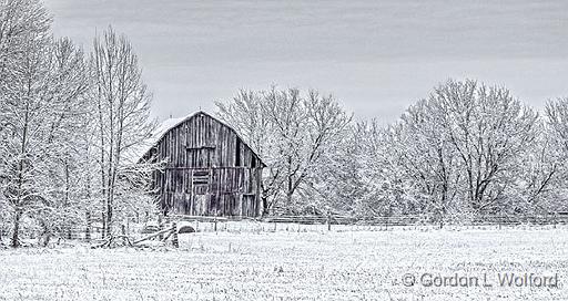 Spring Wonderland_DSCF6592.jpg - Photographed near Smiths Falls, Ontario, Canada.